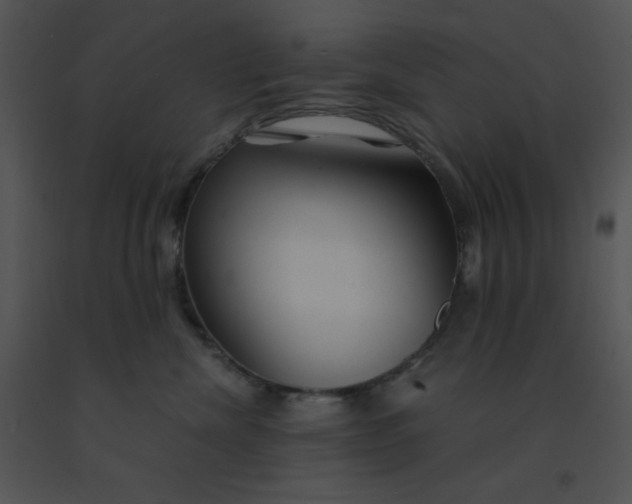 X0000091360476200708311508