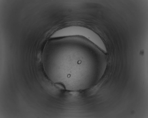 X0000091360478200708311508