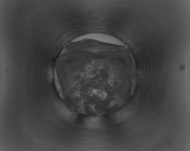 X0000091360479200708311508
