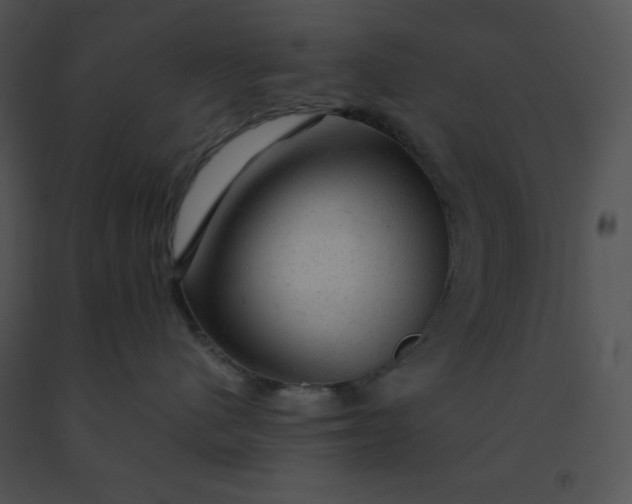 X0000091360480200708311508