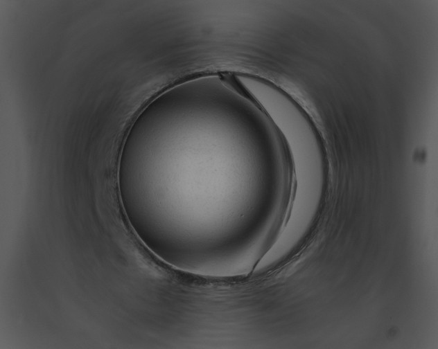 X0000091360481200708311508