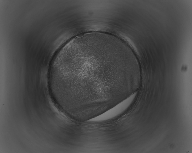 X0000091360482200708311508
