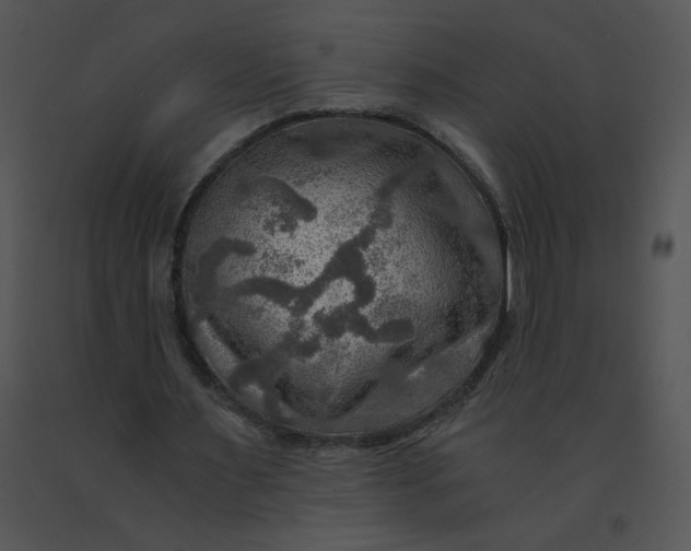 X0000091360483200708311508