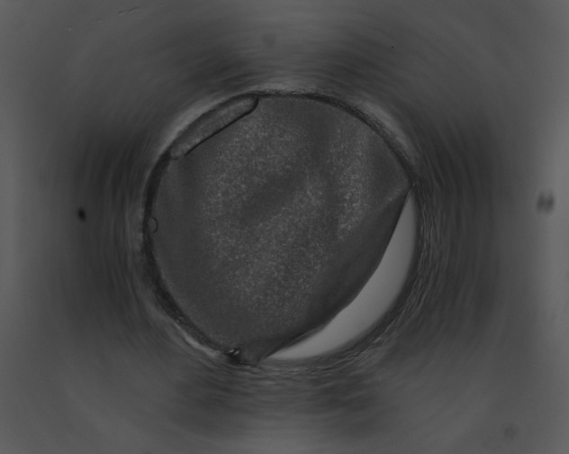 X0000091360484200708311508