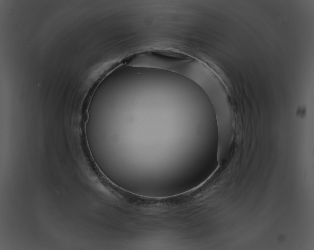 X0000091360485200708311508