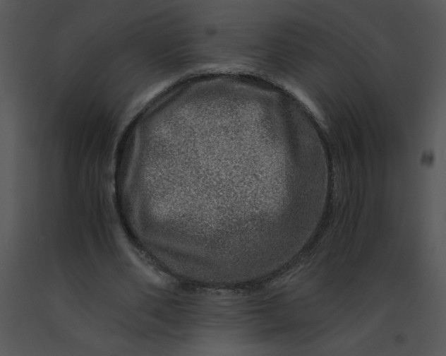 X0000091360486200708311508