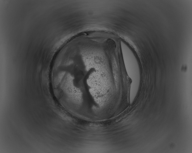 X0000091360487200708311508