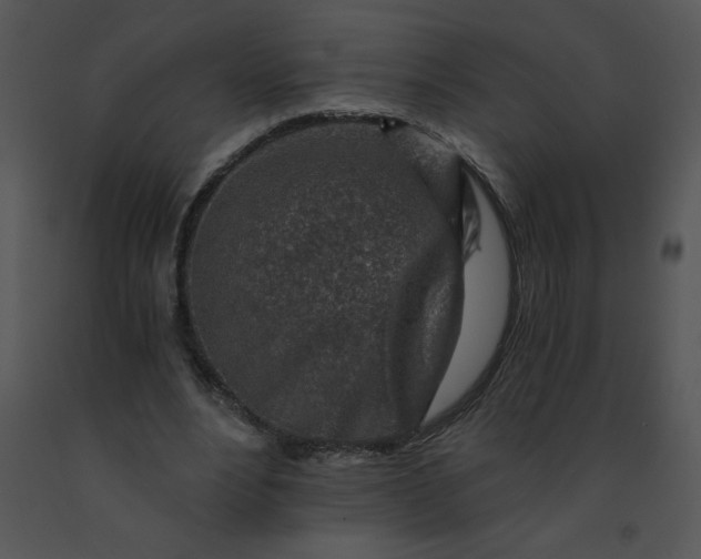 X0000091360488200708311508