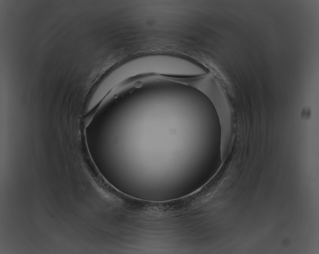 X0000091360489200708311508