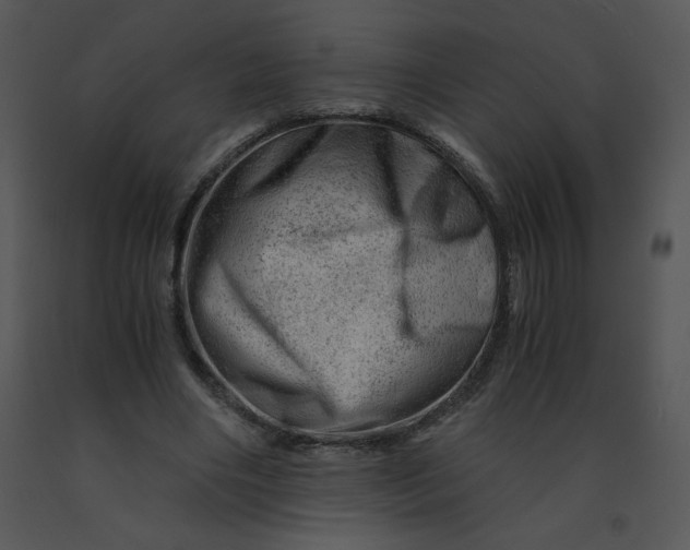 X0000091360490200708311508