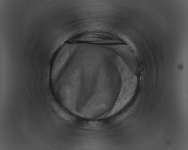 X0000091360493200708311508