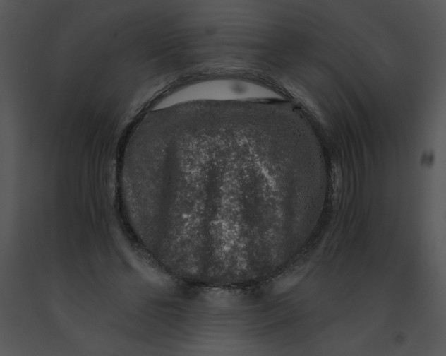 X0000091360494200708311508