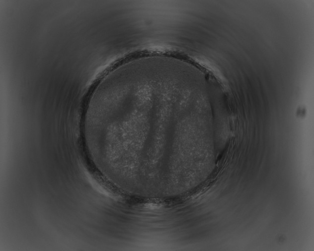 X0000091360496200708311508
