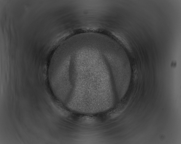 X0000091360498200708311507
