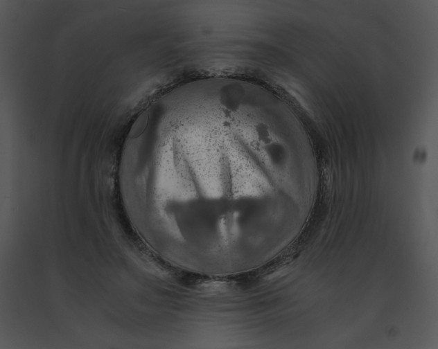 X0000091360499200708311507