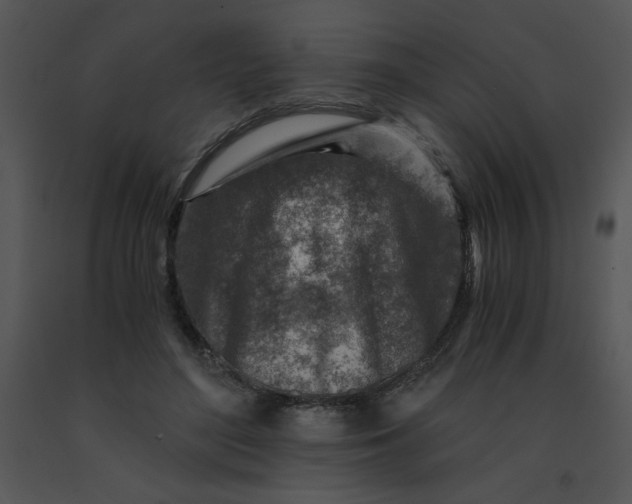 X0000091360500200708311507