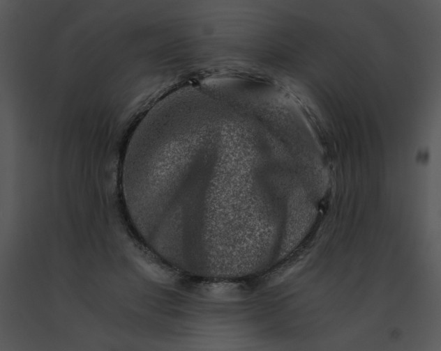 X0000091360501200708311507