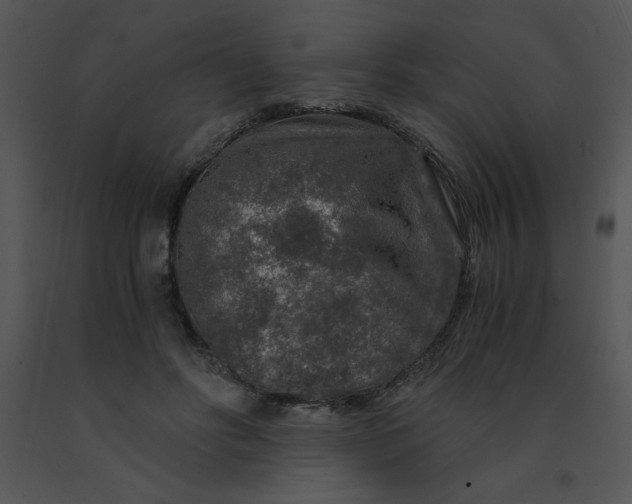 X0000091360502200708311507