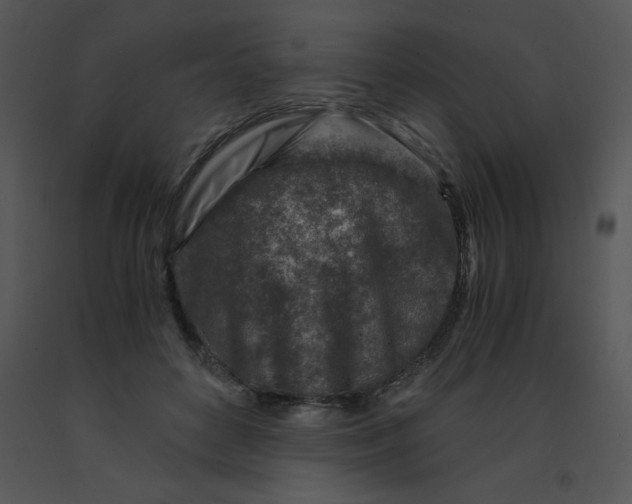X0000091360504200708311507