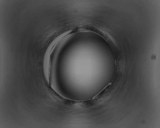 X0000091360505200708311507
