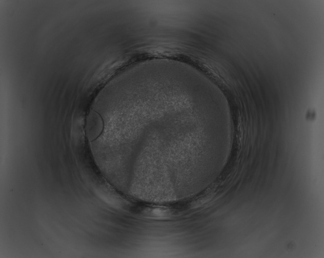 X0000091360506200708311507