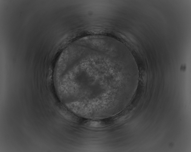 X0000091360507200708311507