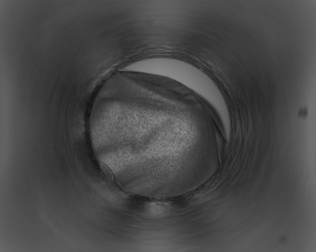 X0000091360508200708311507
