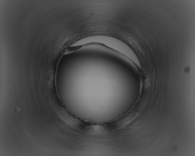 X0000091360509200708311507