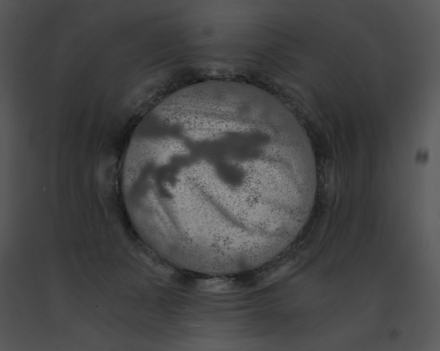 X0000091360511200708311507