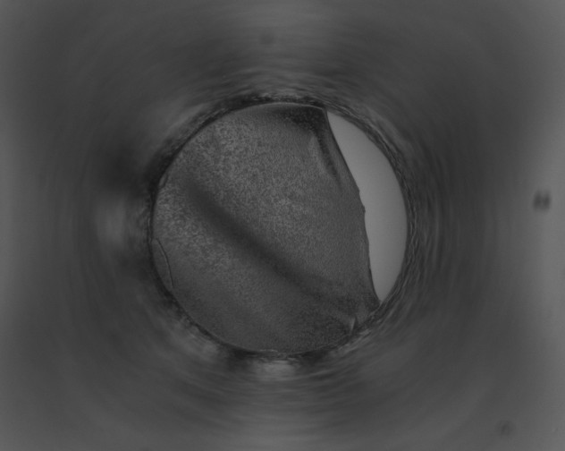 X0000091360513200708311507