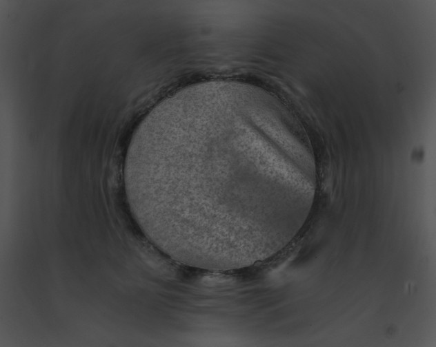 X0000091360515200708311507