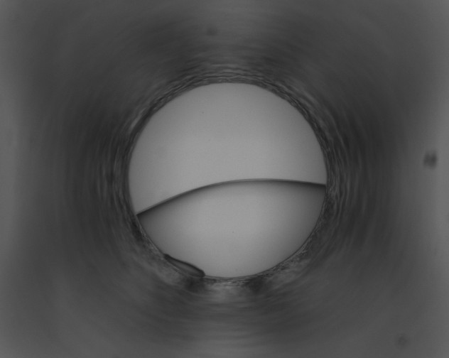 X0000091360516200708311507