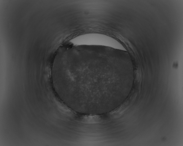 X0000091360517200708311507