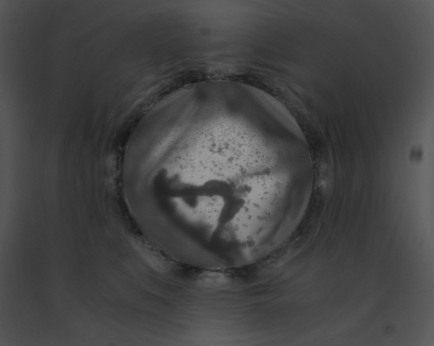 X0000091360519200708311507