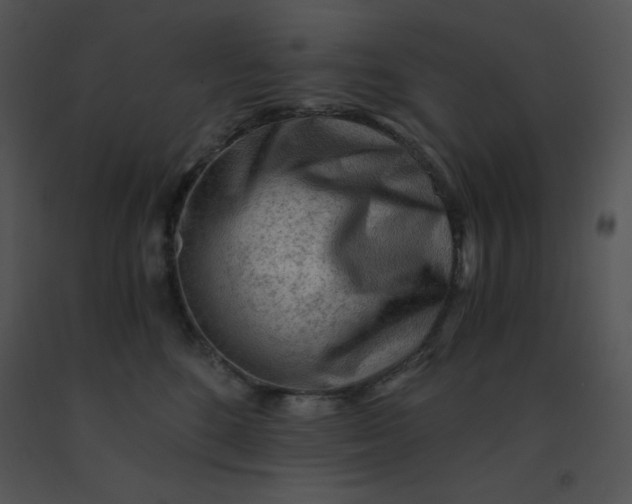 X0000091360520200708311507