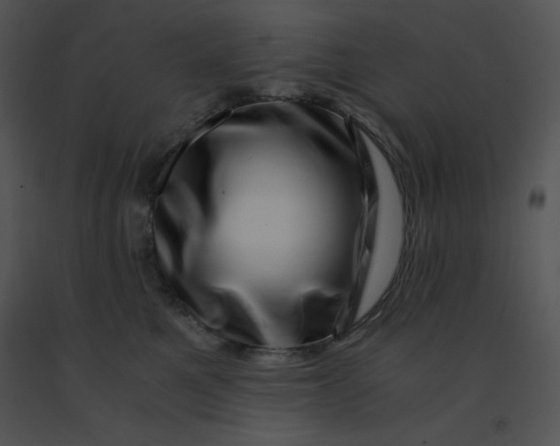 X0000091360521200708311507