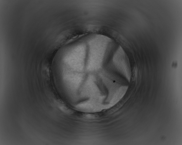 X0000091360522200708311507