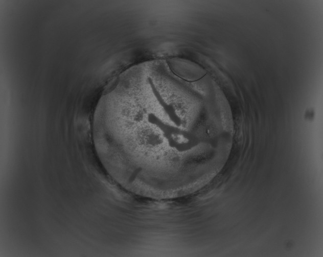 X0000091360523200708311507