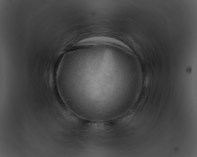 X0000091360524200708311507