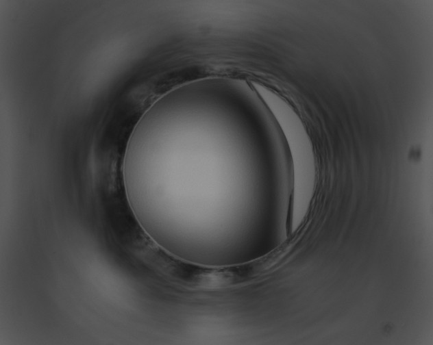 X0000091360525200708311507