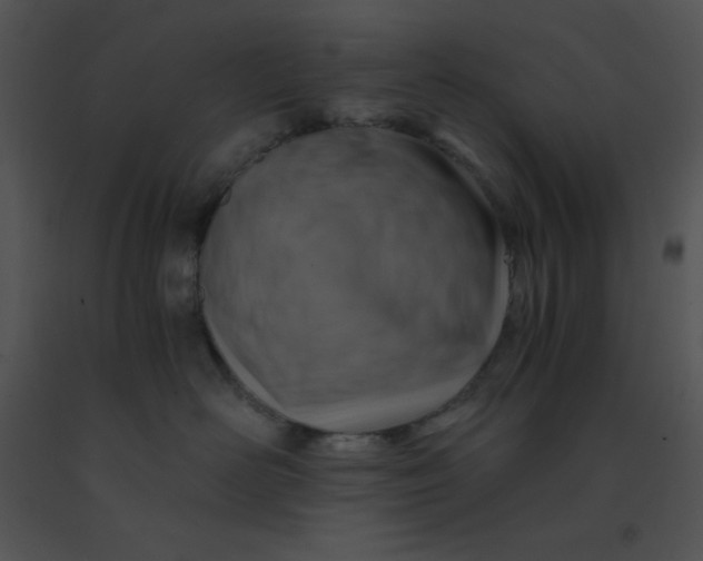 X0000091360526200708311507