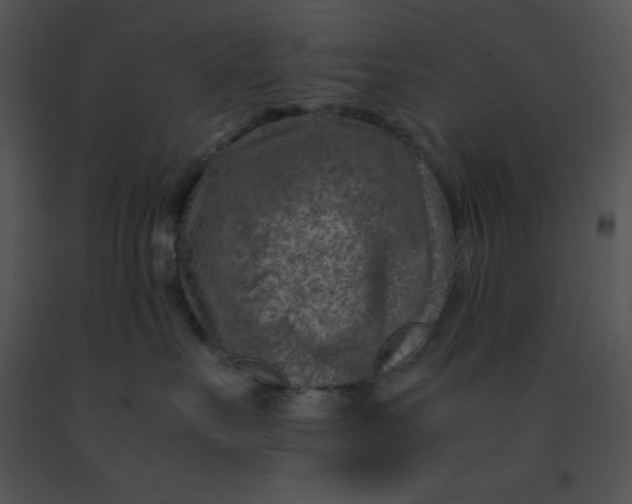X0000091360527200708311507