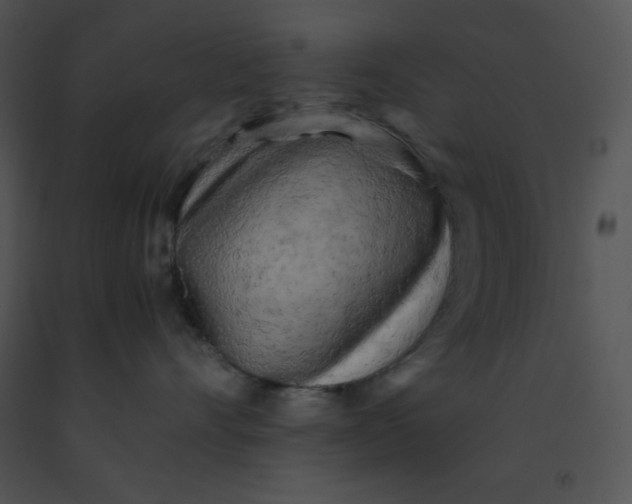 X0000091360528200708311507