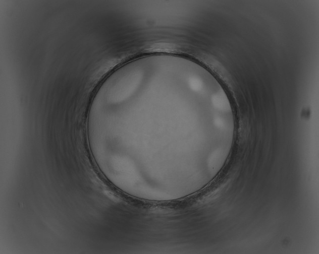 X0000091360529200708311507