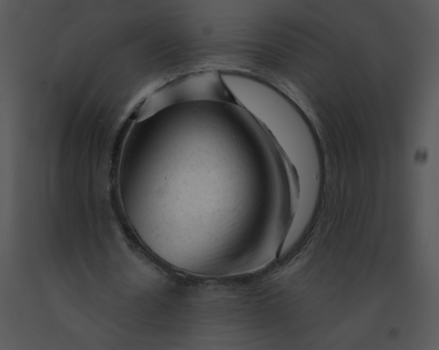 X0000091360530200708311507