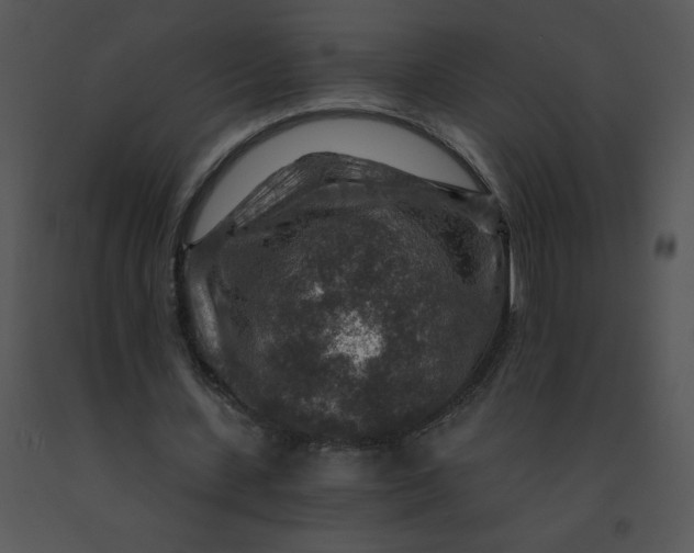 X0000091360531200708311507