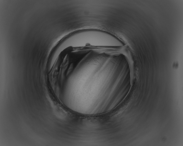 X0000091360532200708311507