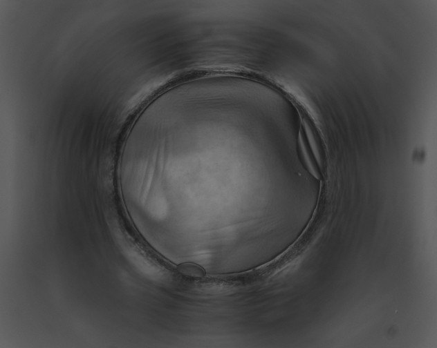 X0000091360533200708311507