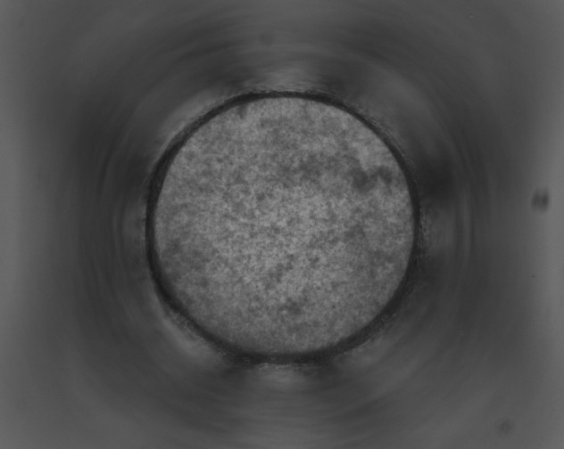X0000091360534200708311507