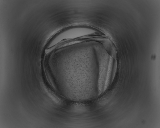 X0000091360535200708311507